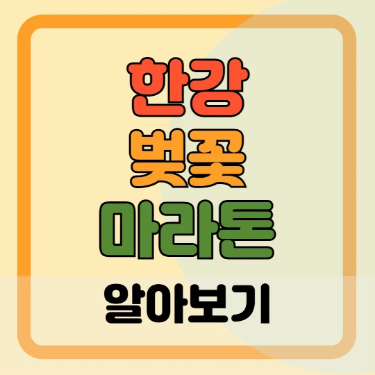 한강 벚꽃 마라톤 대회장 교통 및 주차장 총정리(2025)