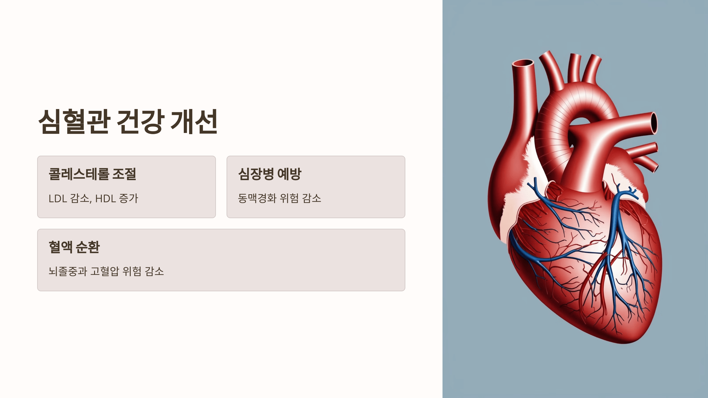 오메가3와 관련된 사진입니다.