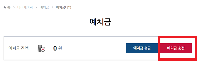  베트맨토토 예치금 충천 방법 및 유의사항