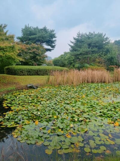 서울근교 겨울 여행지 온실 식물원