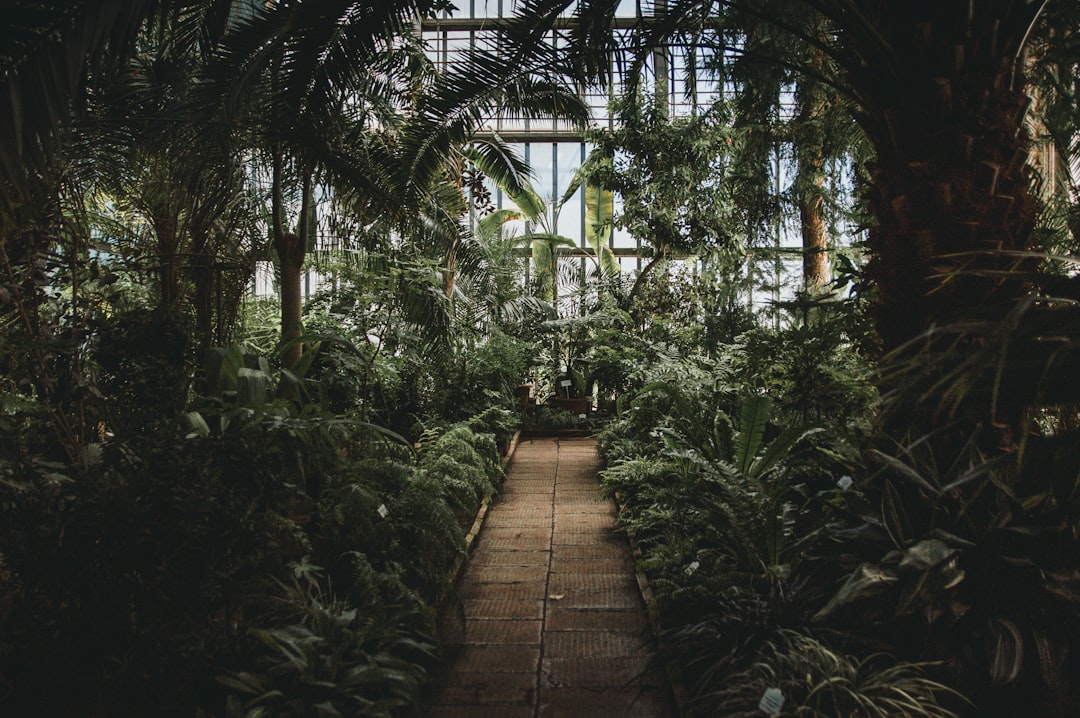 Smart Greenhouse