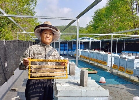 생생정보 나나랜드 경북 영천 꿀벌 부부 실버 로얄제리 산골 양봉원 주문방법