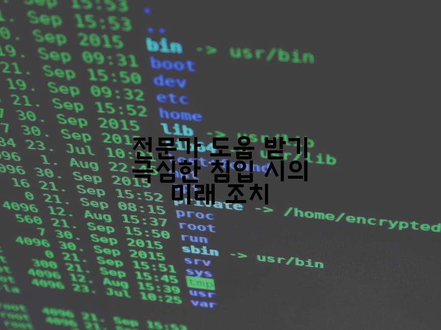 전문가 도움 받기 극심한 침입 시의 미래 조치