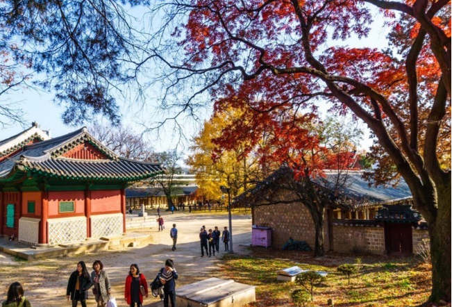 종로 성균관대 명륜당의 가을