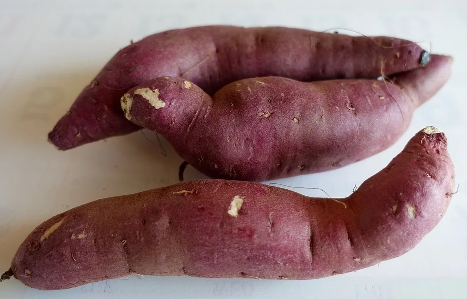 강화도 속황고구마 구입요령 (ft. 고구마효능 고구마열량)