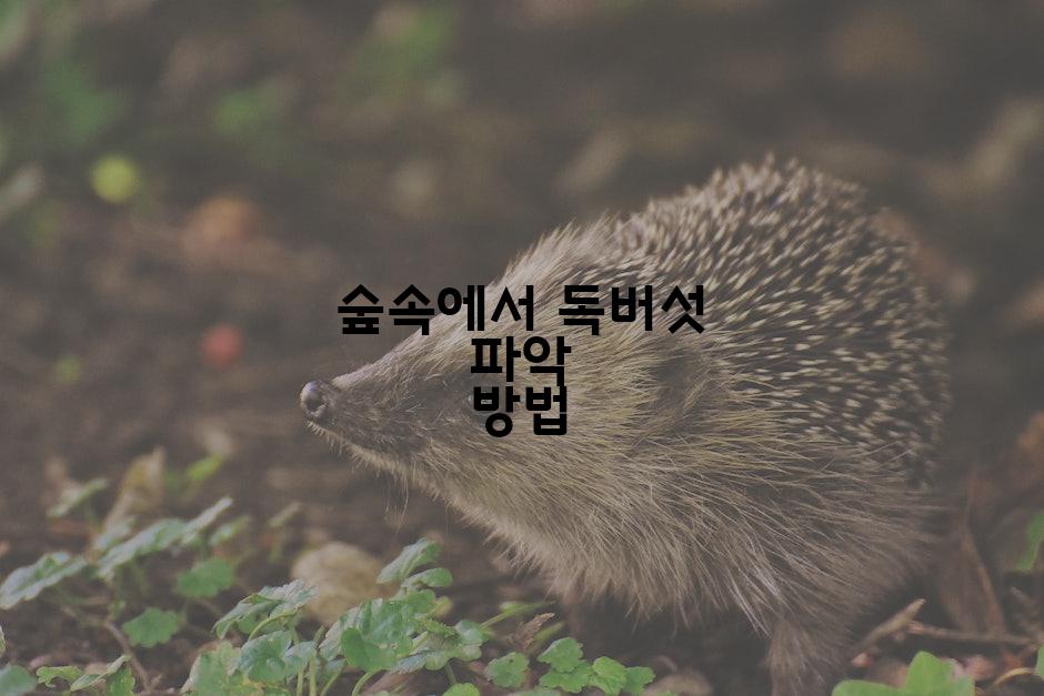 숲속에서 독버섯 파악 방법