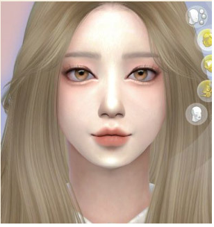  요즘 인스타에서 인기많은 여신 특징.jpg