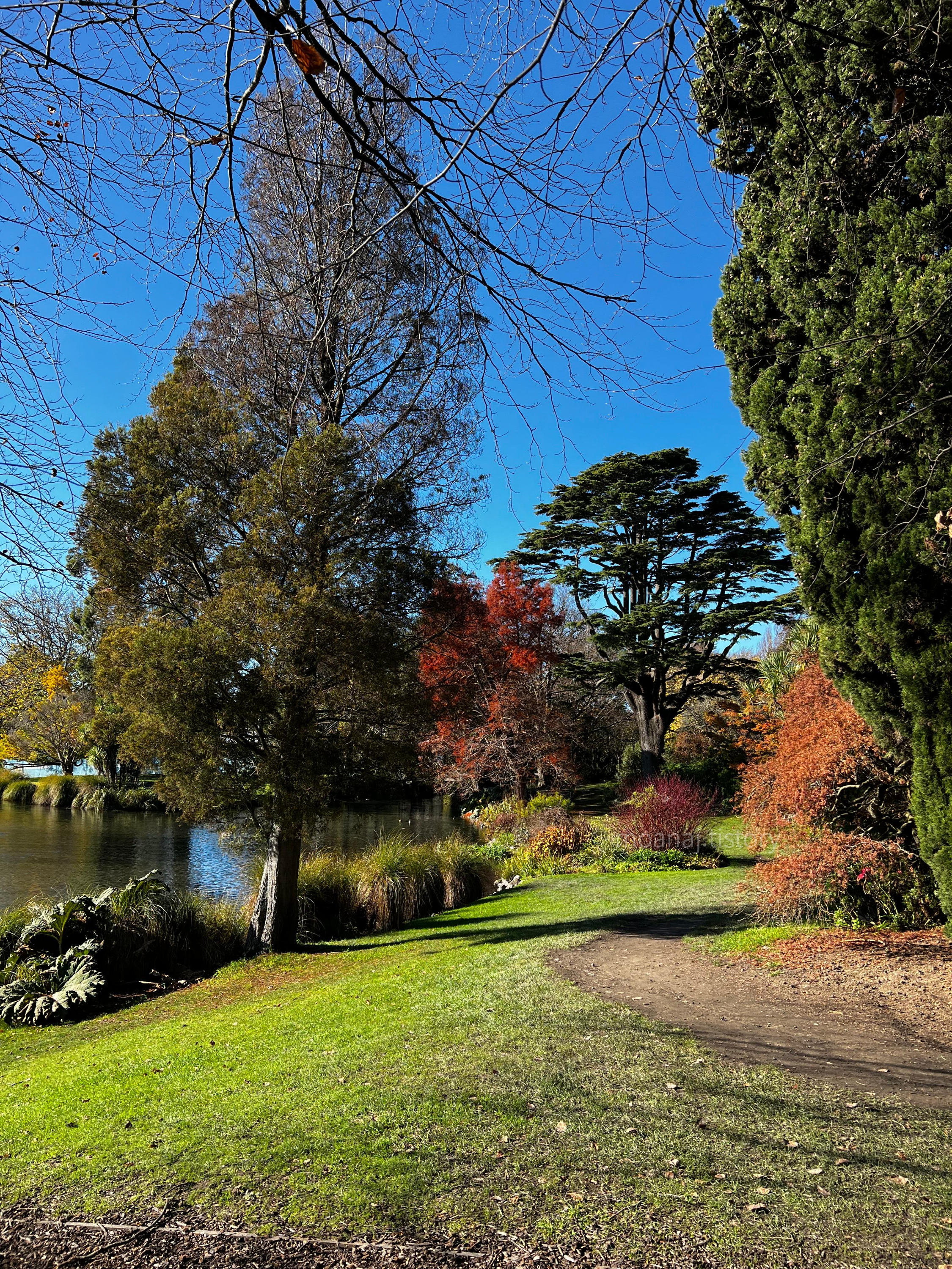 Mona Vale Garden
