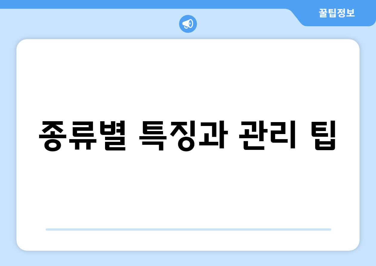 종류별 특징과 관리 팁