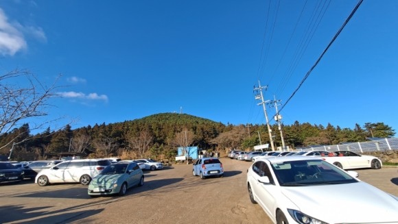 정물 당오름, 오름 그리고 금악오름 50