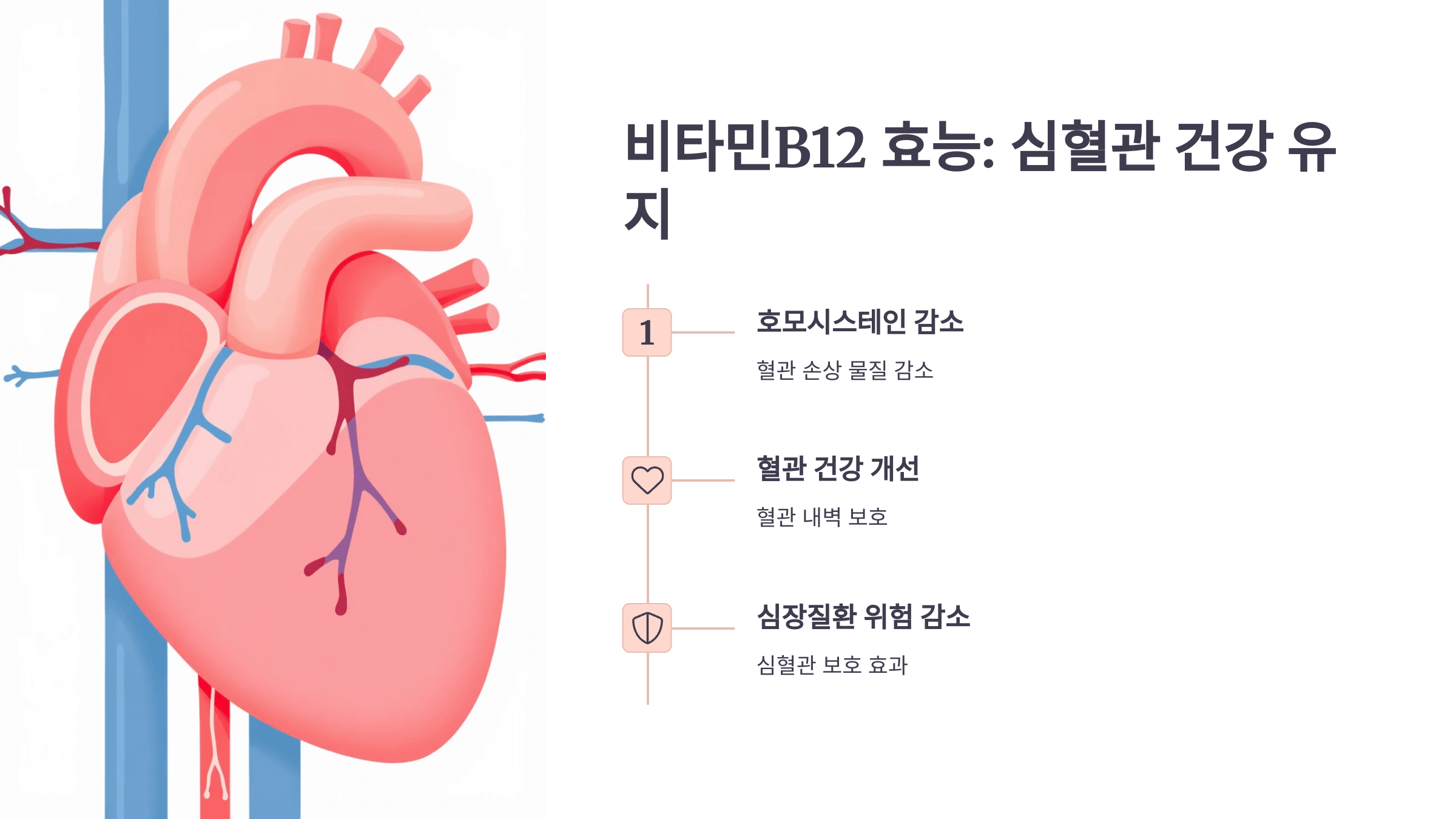 비타민b12 사진입니다.