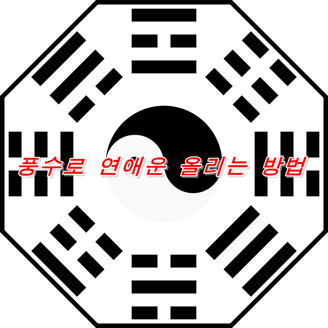  풍수로 연애운 올리는 방법