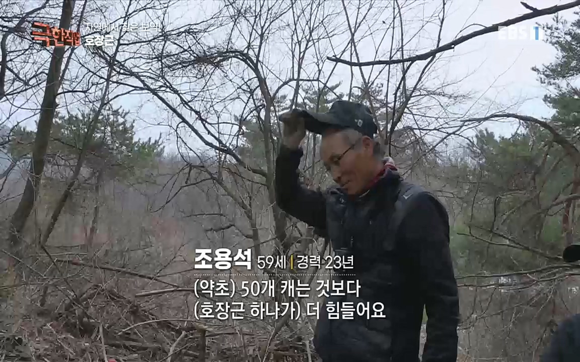 TV - 교육의 중심 EBS자연에서 찾은 보약! 석이버섯, 호장근, 백하수오.mp4_20220518_192326.656.jpg