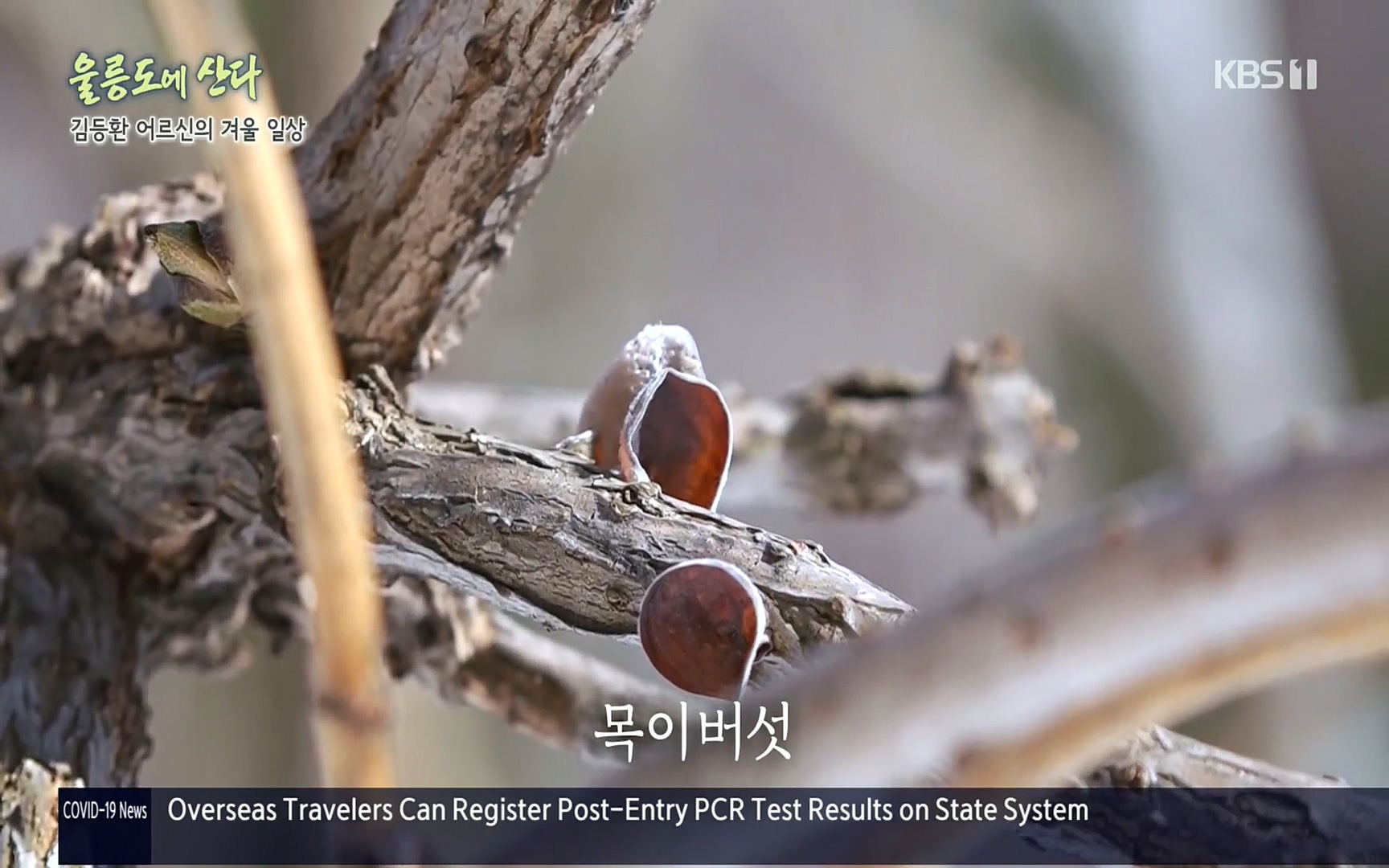 다큐울릉도에산다.E01.220909p.H264-F1RST.mp4_20220912_180340.554.jpg