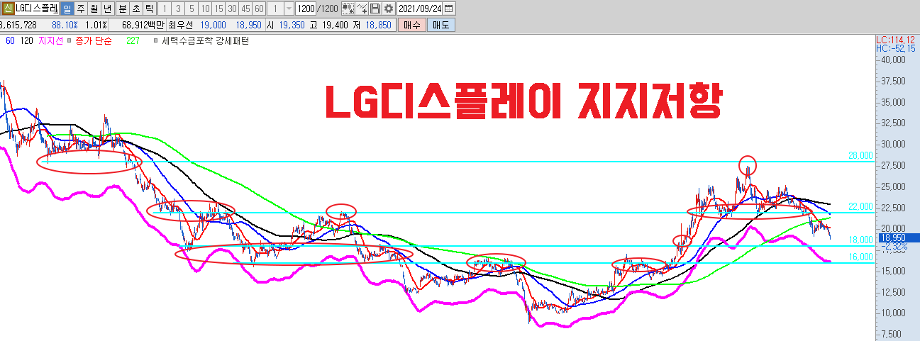  LG디스플레이 주가 LCD 접고 OLED 확대
