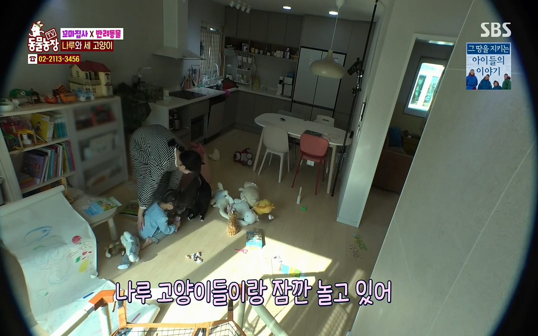 TV 동물농장.E1061.220320p.H264-F1RST.mp4_20220320_183617.121.jpg
