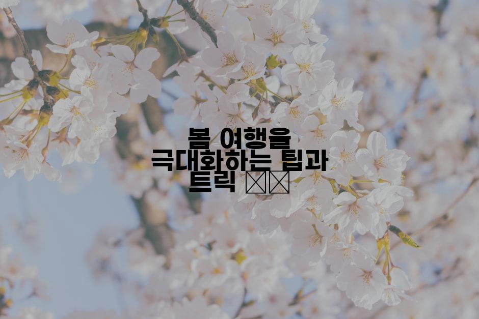 봄 여행을 극대화하는 팁과 트릭 ☀️