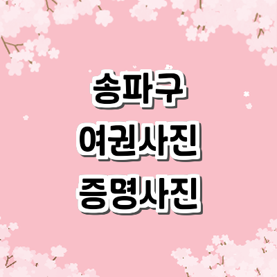 서울 송파구 여권사진