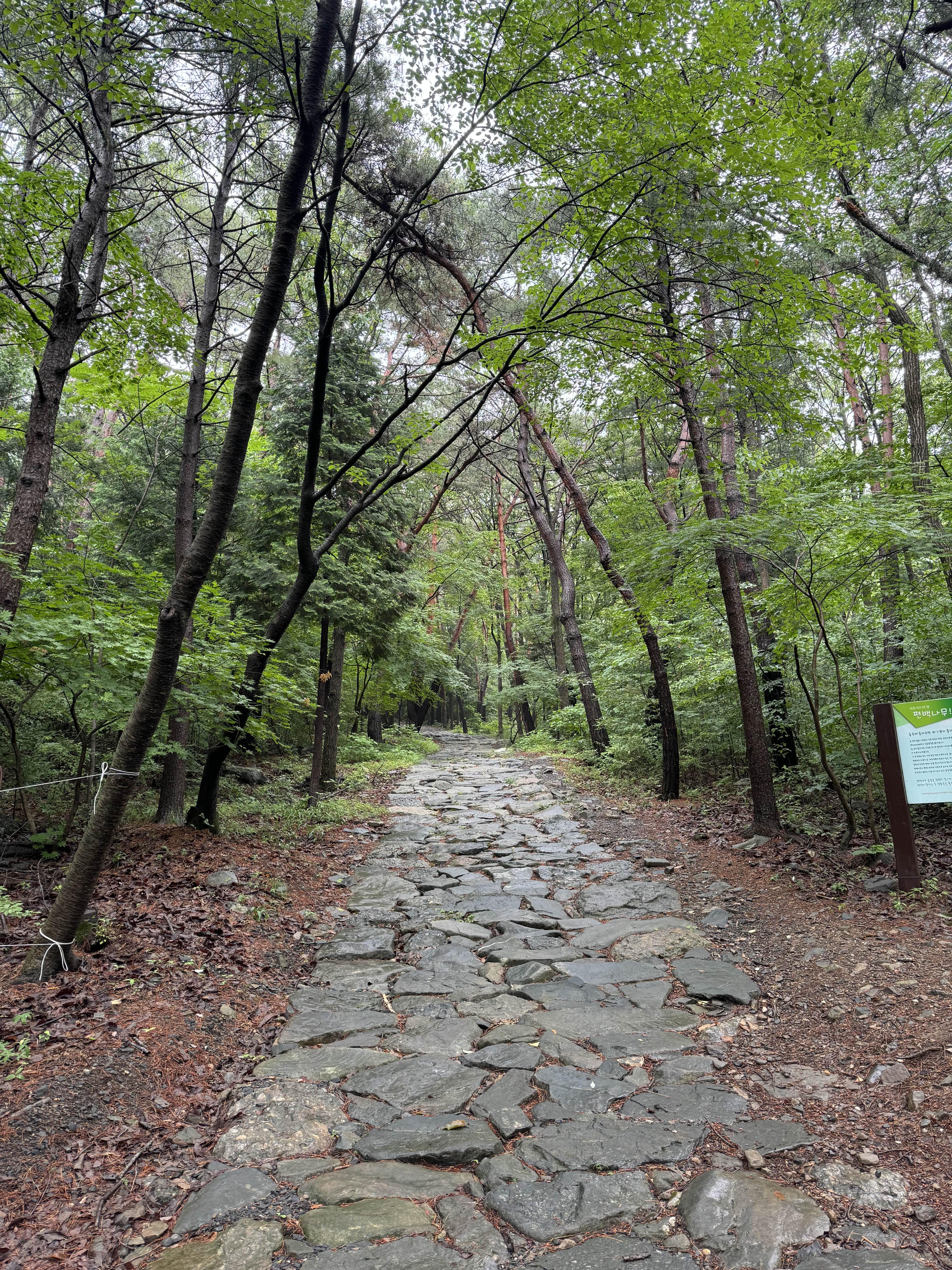 성주산자연휴양림