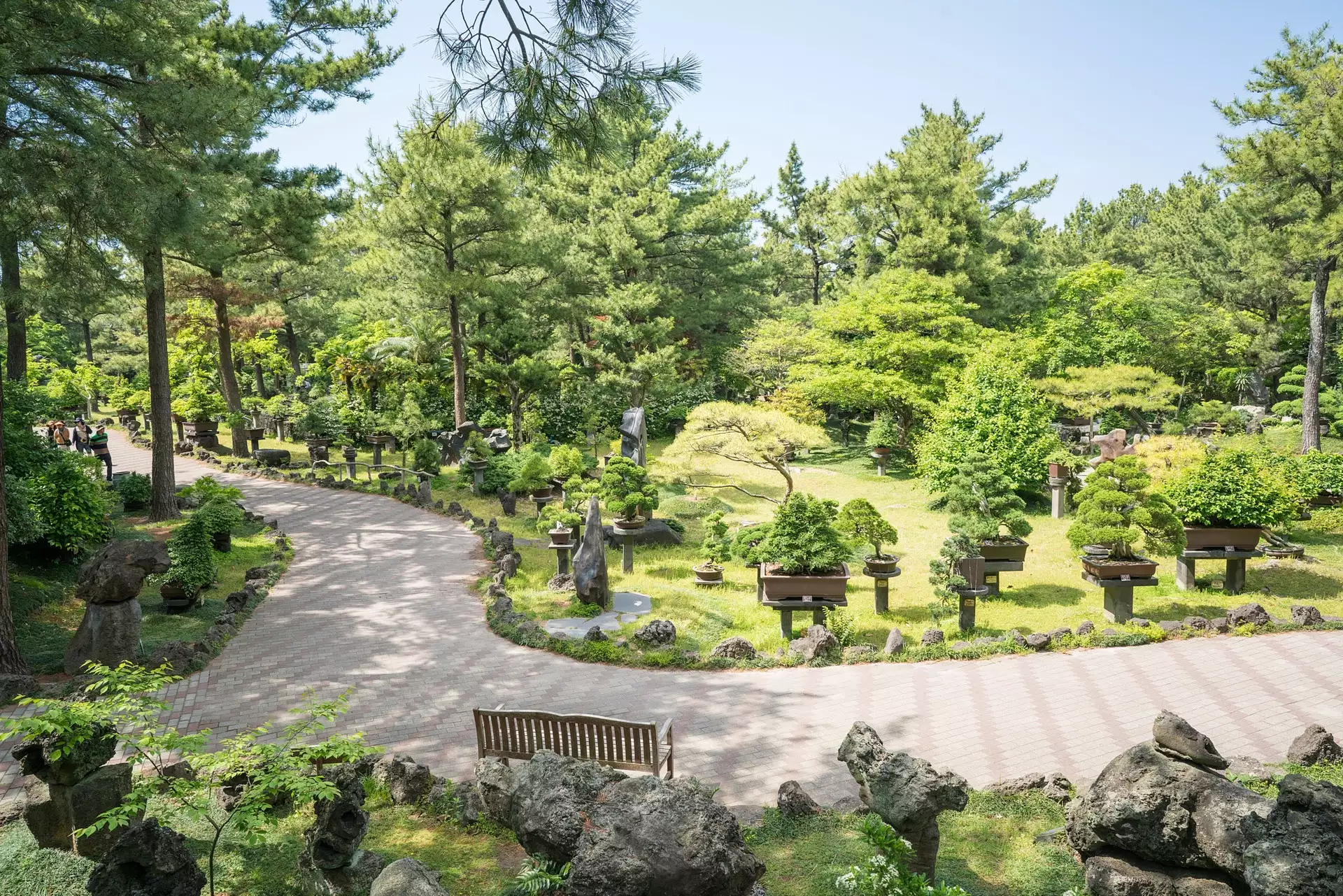 제주도 한림공원의 연꽃과 제주석의 사진이다.