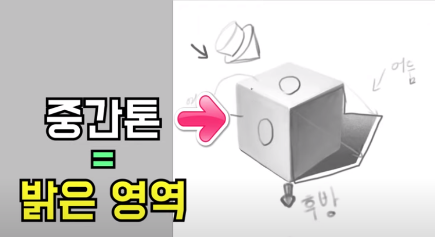  【김락희의 인체 드로잉】 중간톤과 반사광을 공부해보자!