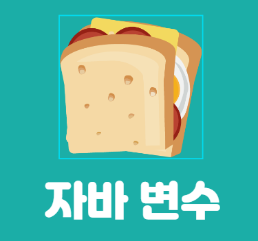  [파란형-Tipoazul] java variable 변수
