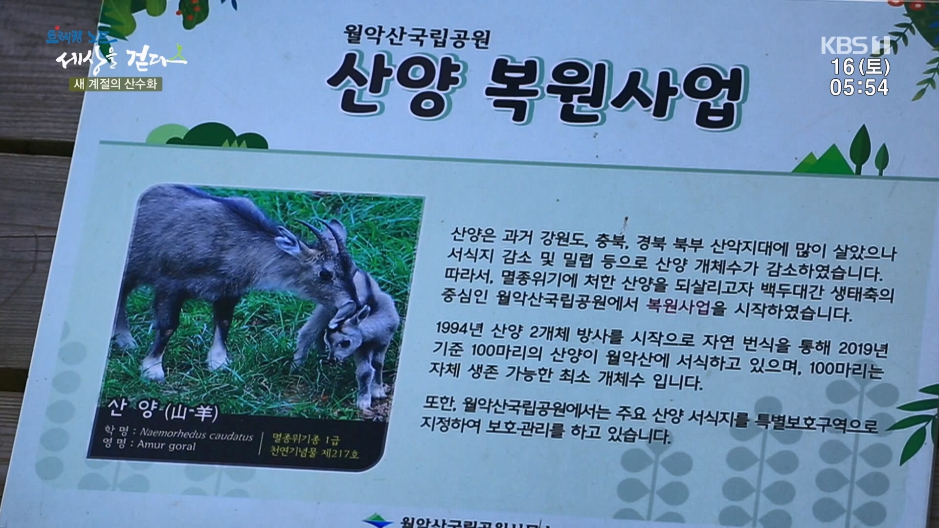 트레킹노트 세상을 걷다.E299.231216p.H264-F1RST.mp4_20240131_200145.137.jpg