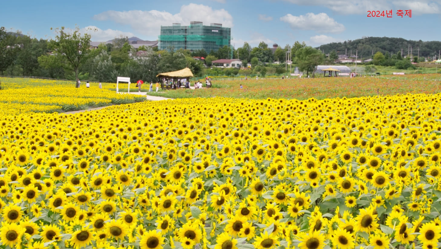 저글링스튜디오 이미지