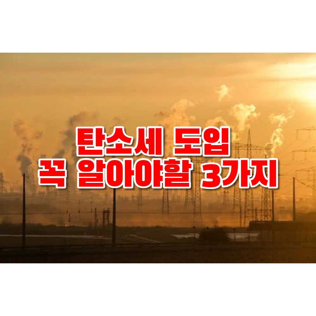 탄소세도입