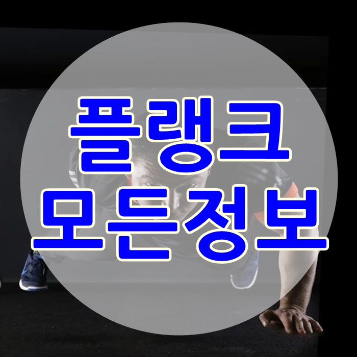  플랭크 효과 및 플랭크 운동방법 꼭하세요