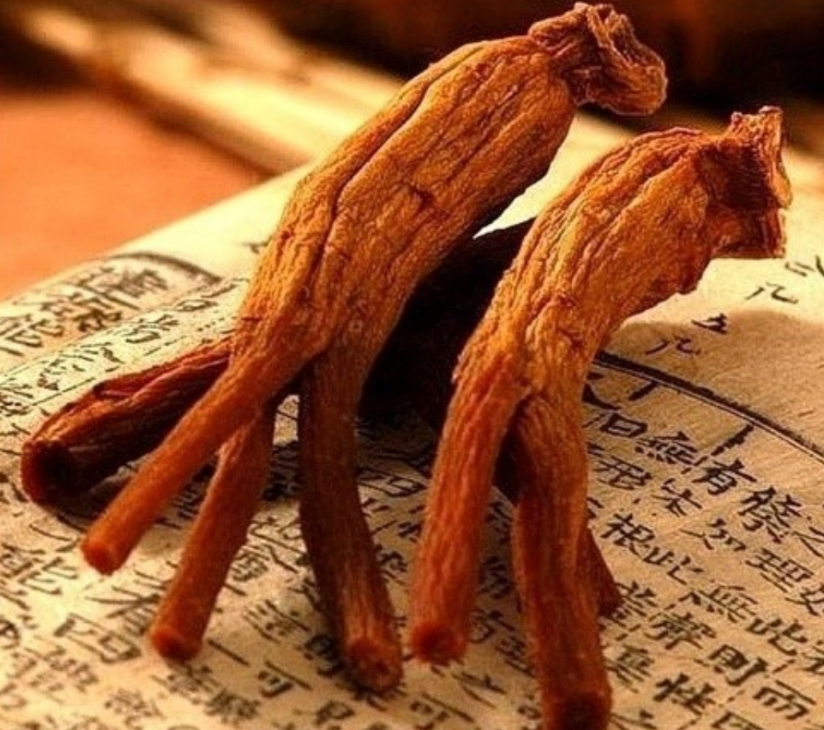  몸에 열이 많은 체질 홍삼은?