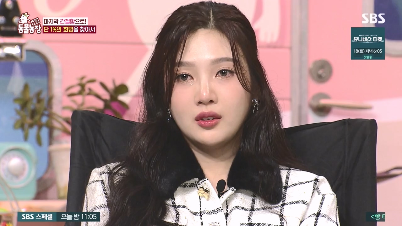 TV 동물농장.E1145.231113p-NEXT.mp4_20231112_173447.689.jpg