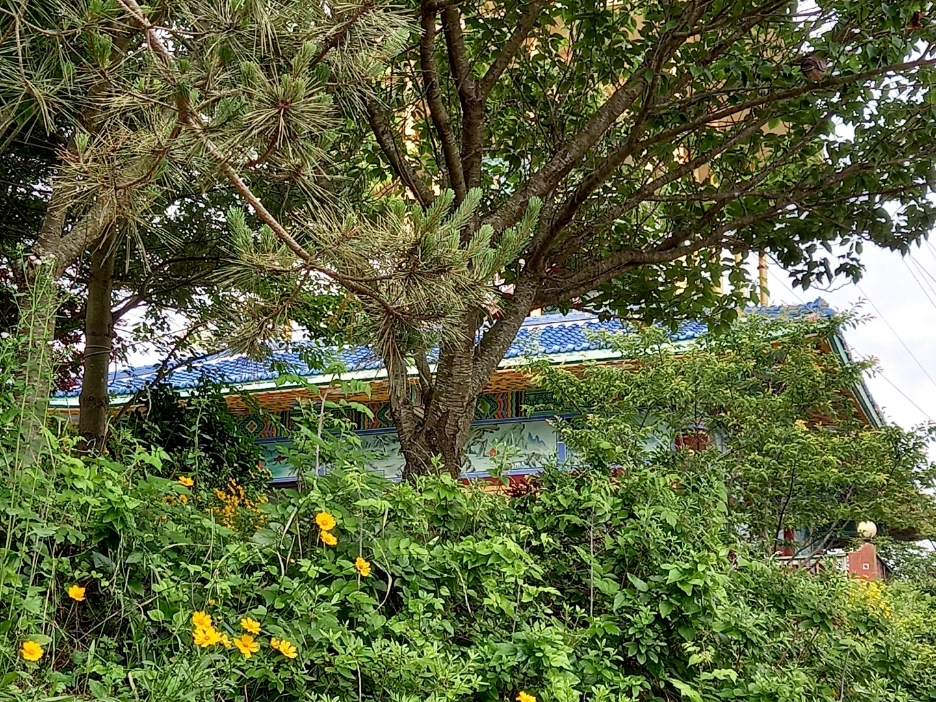 img.jpg