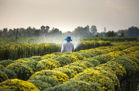 공익직불금 신청방법