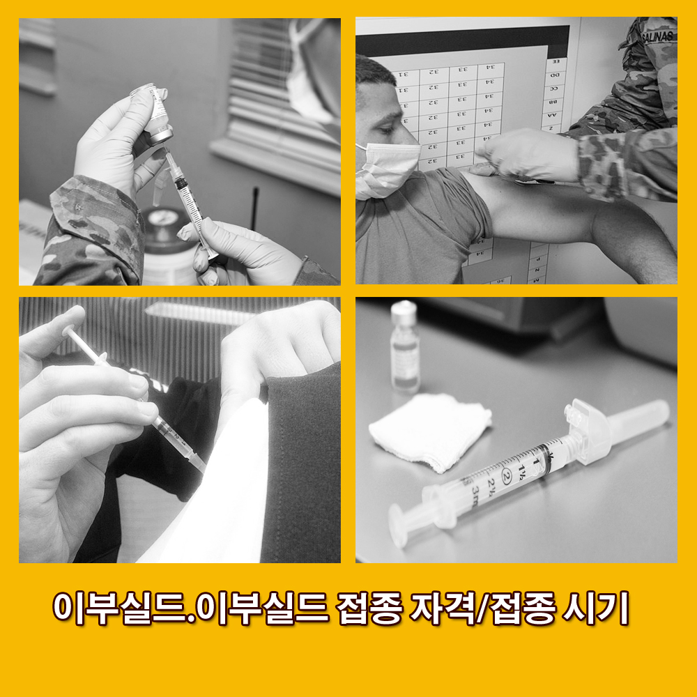  이부실드.이부실드 효과.이부실드 접종 자격.접종시기