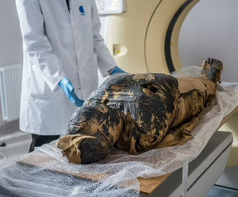  세계 최초 임신한 고대 이집트 미이라는 희귀 암으로 사망 VIDEO: Scans show an ancient mummy in Egypt was pregnant