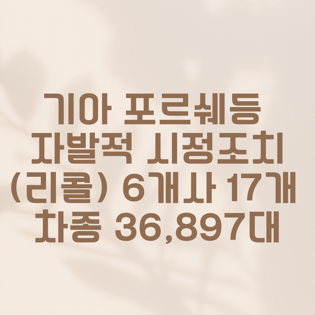 기아 포르쉐등 자발적 시정조치(리콜) 6개사 17개 차종 36,897대