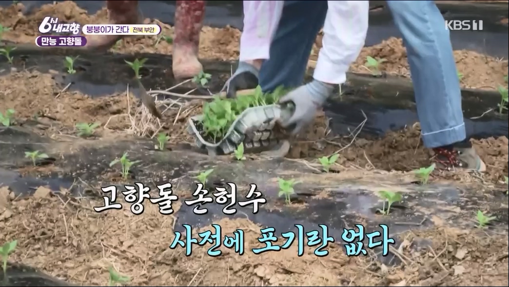 6시 내고향.E7806.230613p.H264-F1RST.mp4_20230614_205846.629.jpg