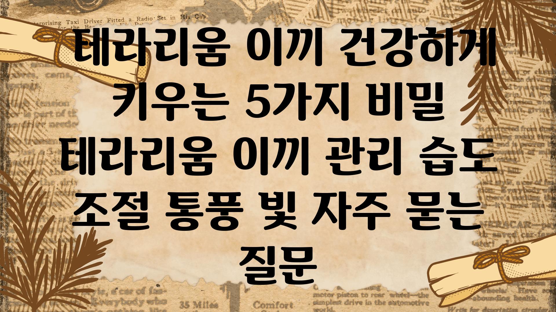  테라리움 이끼 건강하게 키우는 5가지 비밀  테라리움 이끼 관리 습도 조절 통풍 빛 자주 묻는 질문