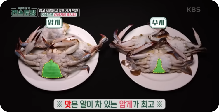 암게와 수게 구별하는 방법