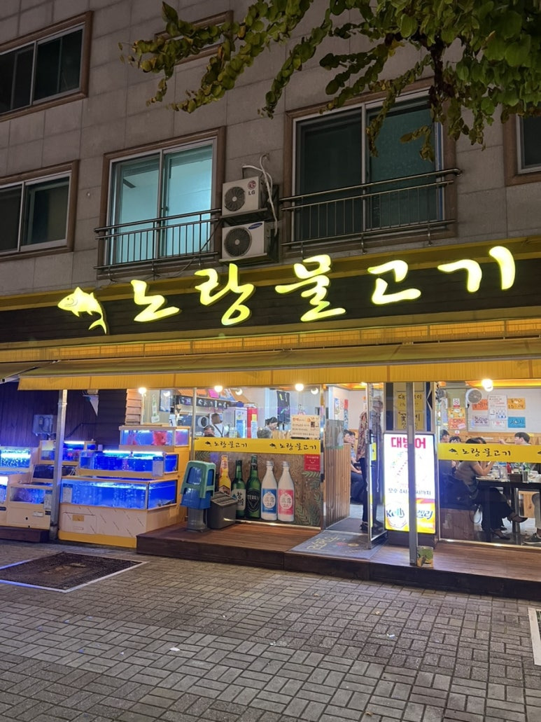 물고기오빠 이미지