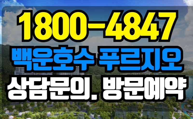 숲속의아침 이미지