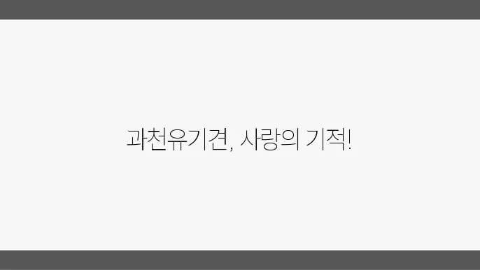 과천유기견보호센터 알아봅니다