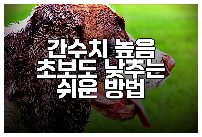 간수치 높음 초보도 낮추는 쉬운 방법