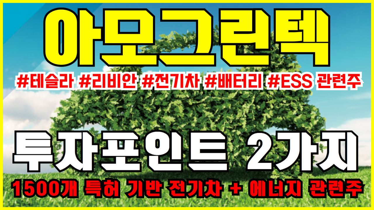  아모그린텍 주가 전망 | 테슬라 , 리비안 , 전기차관련주 배터리관련주