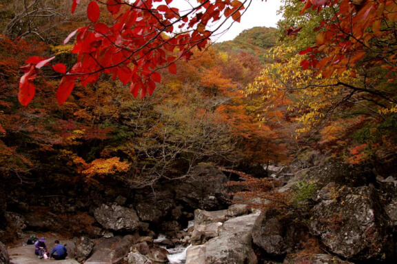 지리산단풍축제