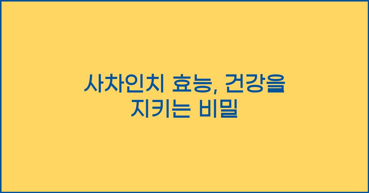 사차인치 효능