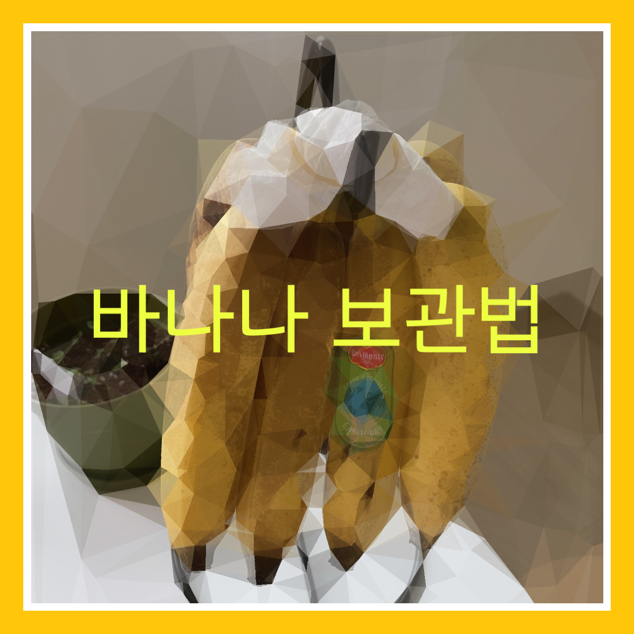  바나나 보관법(옷걸이로 바나나걸이 만들다 말기)