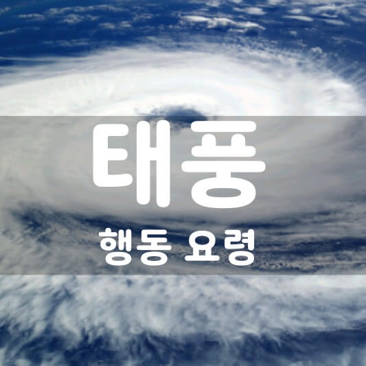  태풍 행동 요령 알아보아요! (feat. 자연 재난, 호우-초단기 기상예측)