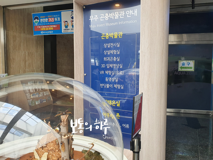 무주 반디랜드 다녀왔어요 대전 근교 가볼만한곳 13